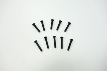 SWORKz Linsenkopfschraube Inbus M2,5x14mm (10)